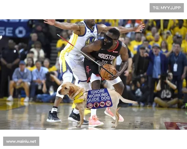 nba在线观看免费观看看赛事